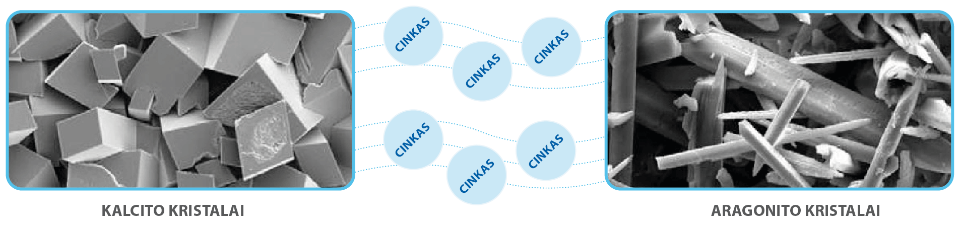 AQUASAIN Kaip veikia kalcito ir aragonito kristalai
